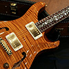 Private Stock #3636 B.U.G.Special Order 《HollowbodyII "Tree Of Life" 》 -Violin Amber- 