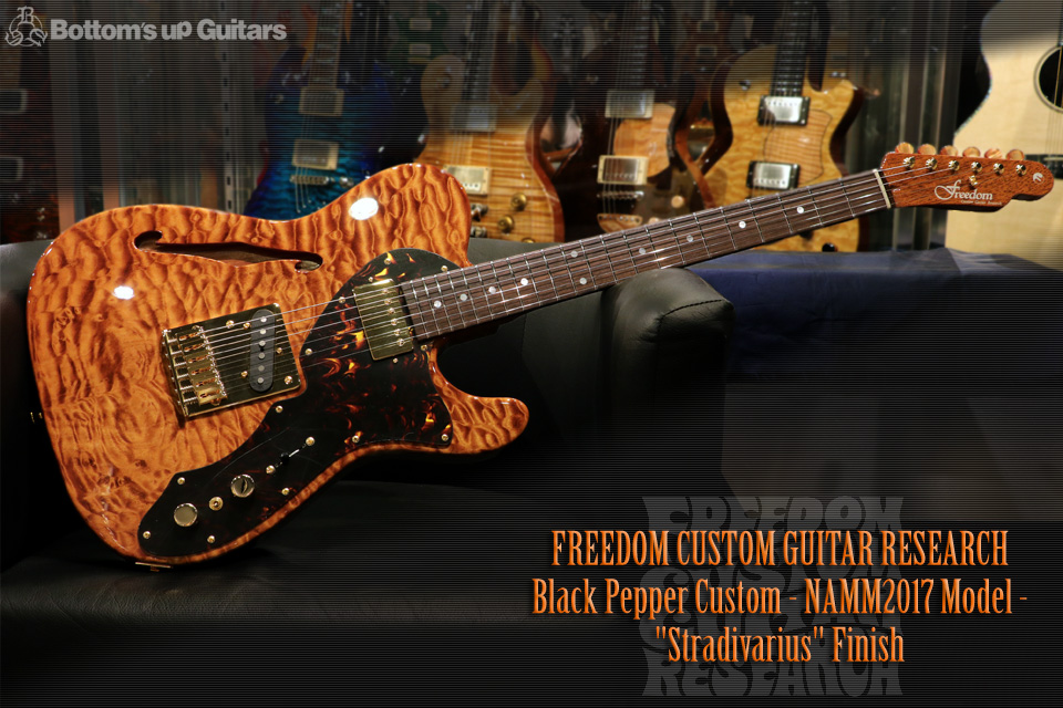 Freedom Custom Guitar Research （FCGR） NAMM2017 Black Pepper Custom 