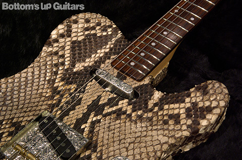 New Guitar Photo Page / Regal Place / Snake Skin Thinline Tele :::