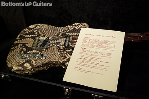 New Guitar Photo Page / Regal Place / Snake Skin Thinline Tele :::