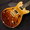 T's Guitars ArcHollow 5A Figured Maple Top  BrownFade