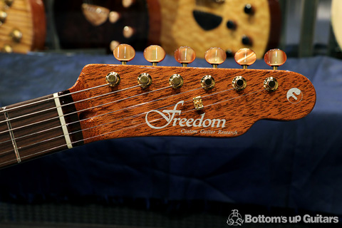 Freedom Custom Guitar Research （FCGR） NAMM2017 Black Pepper Custom 