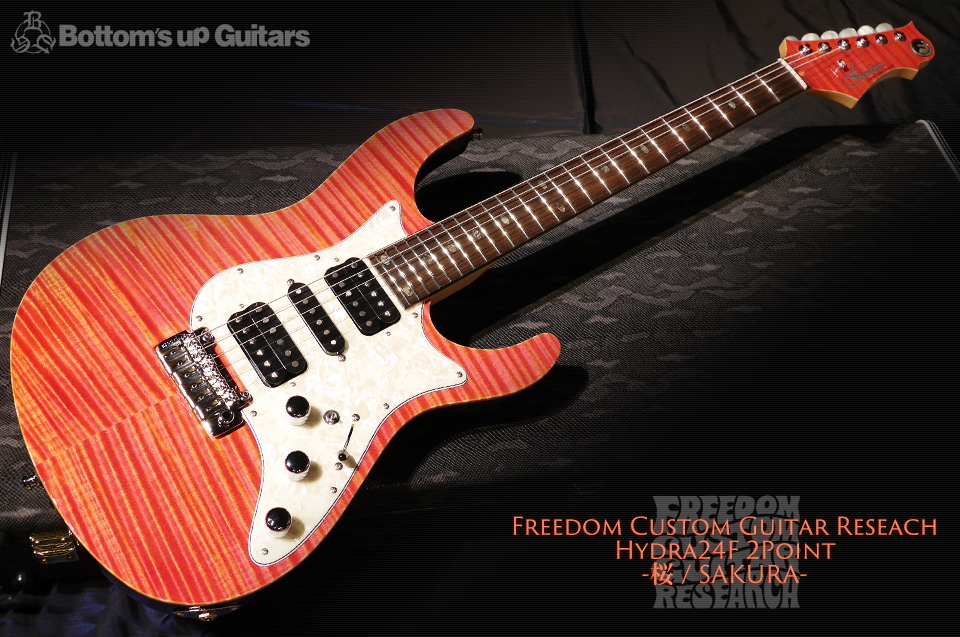 ハイエンドギター　freedomギター