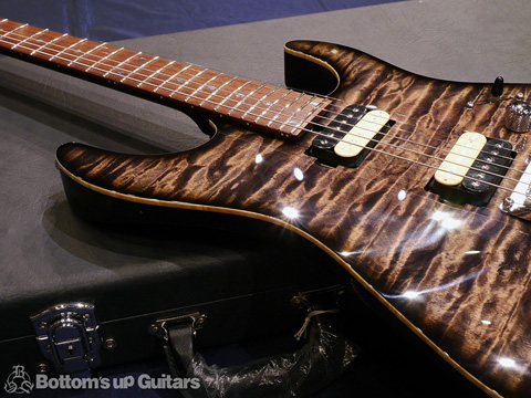 T's Guitars DST-Pro24 Mahogany Limited Selected Quilt Top -Safari Burst- 【BUG Special Order】 特注 国産 日本製 JAPAN